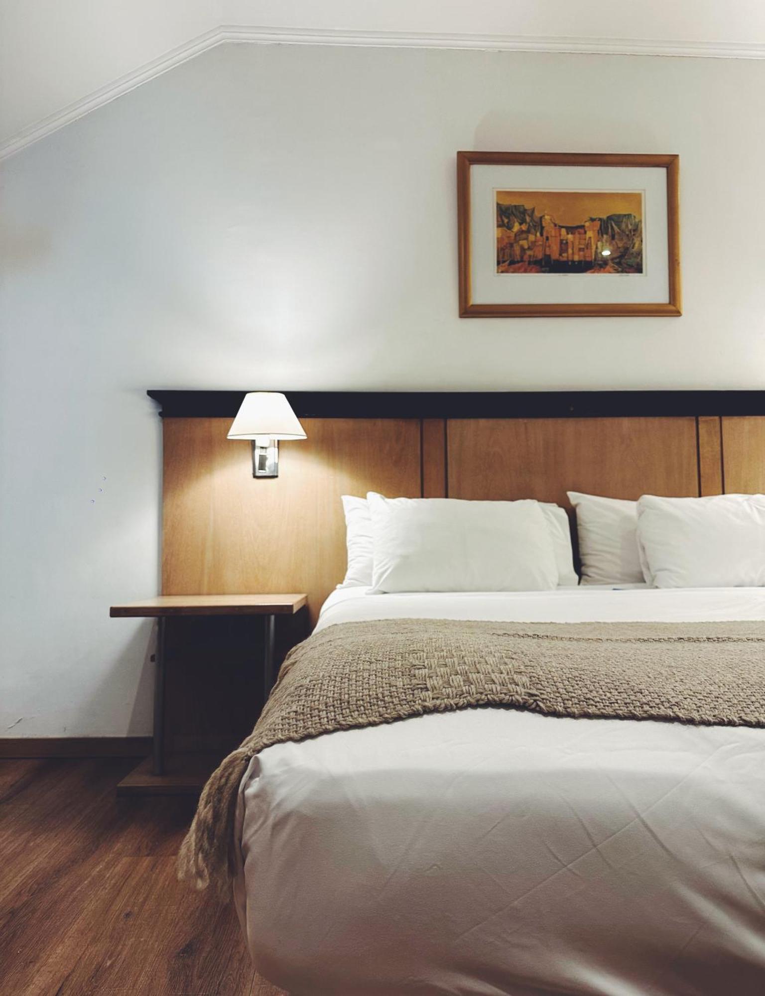 Argentino Hotel Mendoza Extérieur photo